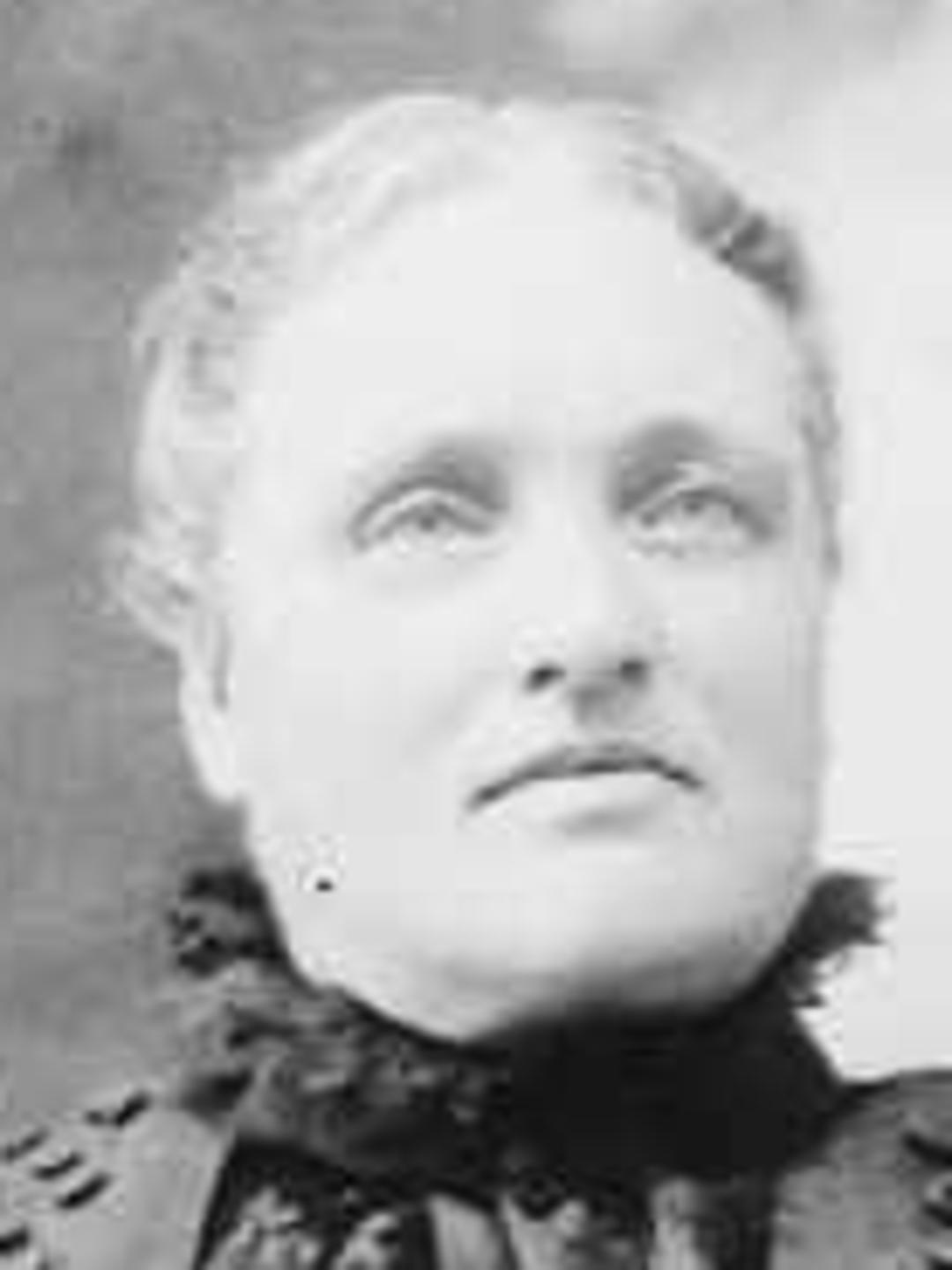 Cynthia Maria Wilcox (1846 - 1917) Profile